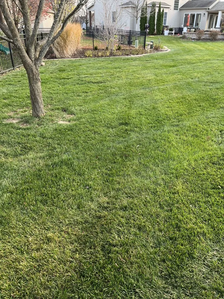 Expert garden landscaping near you across Normal, IL - Mowments Notice