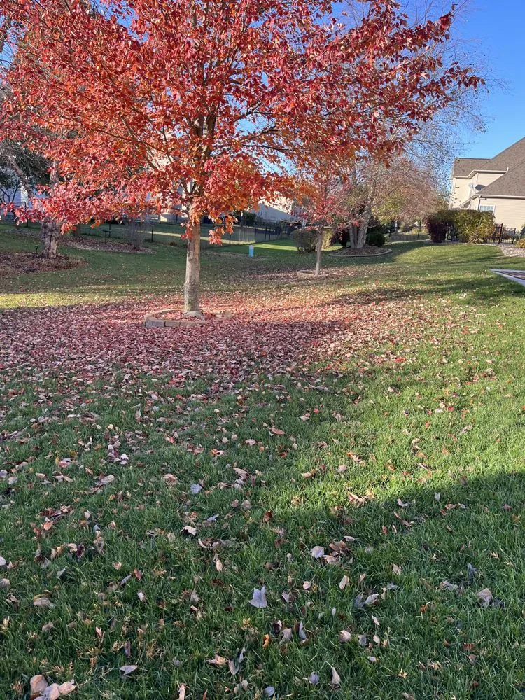 Reliable residential landscaping for residential properties in Normal, IL by Mowments Notice