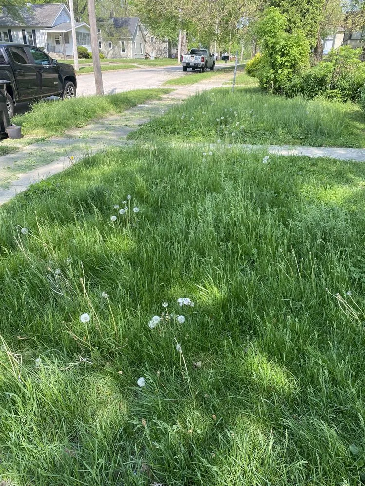 Professional landscaping services experts serving Normal, IL - Mowments Notice