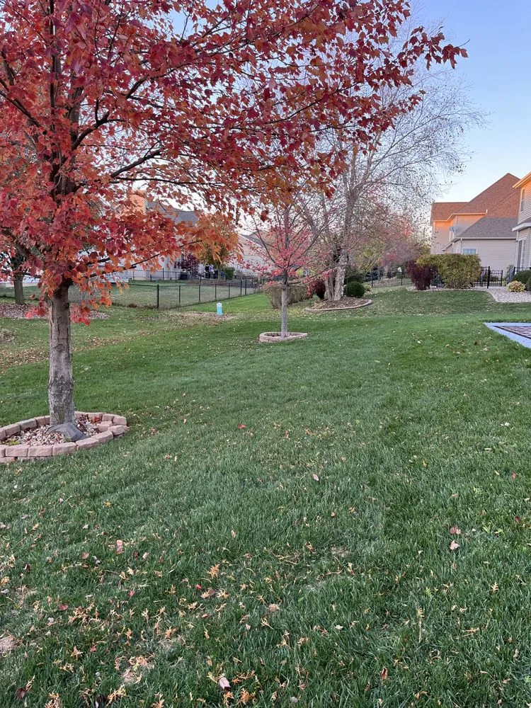 Professional outdoor landscaping for beautiful yards across Normal, IL - Mowments Notice