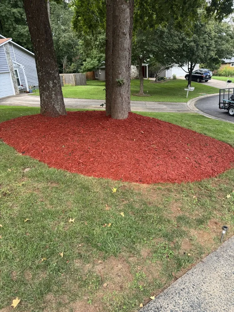 Custom yard cleanup service in Concord, NC by MowMonsters Lawn & Landscaping