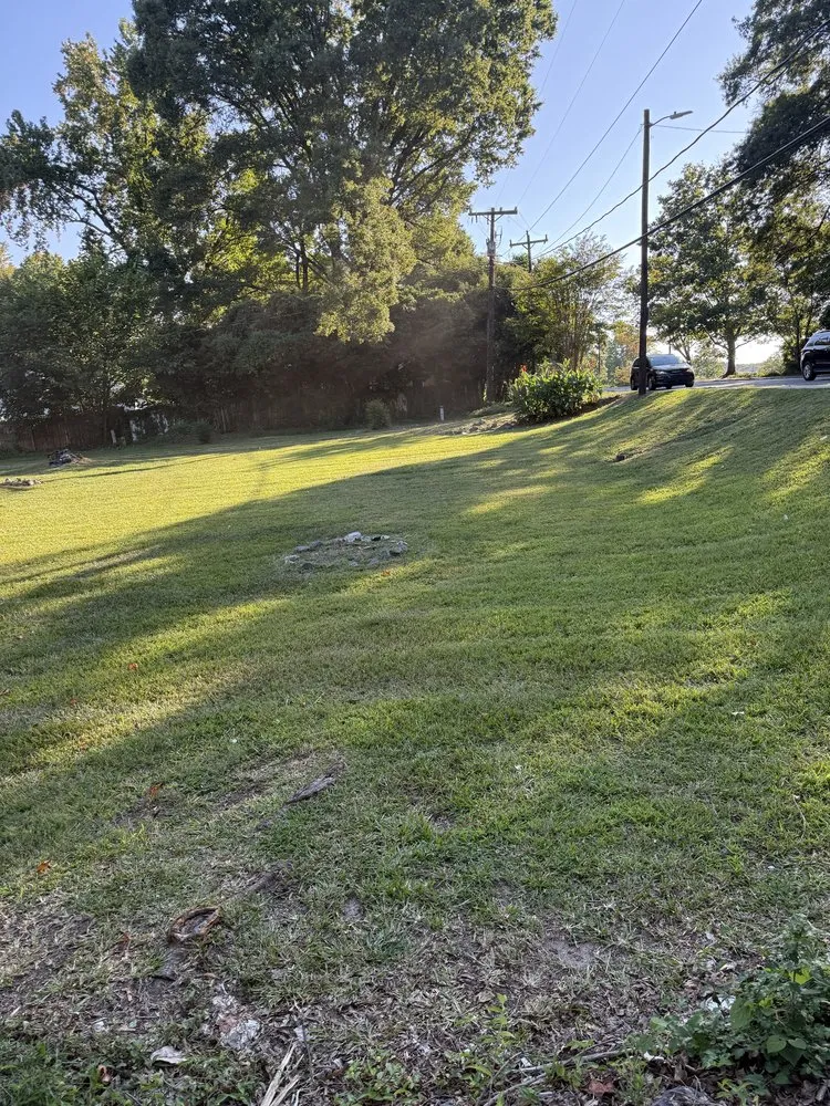 Expert yard cleanup service in Concord, NC - MowMonsters Lawn & Landscaping