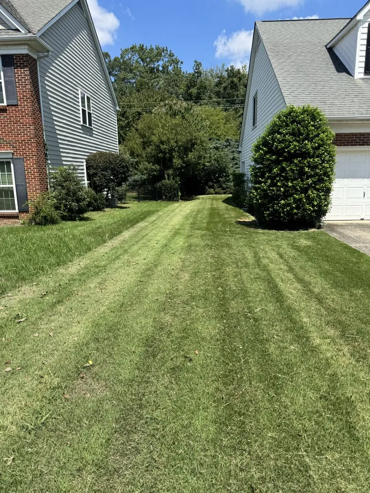Expert yard cleanup service experts serving Concord, NC - MowMonsters Lawn & Landscaping