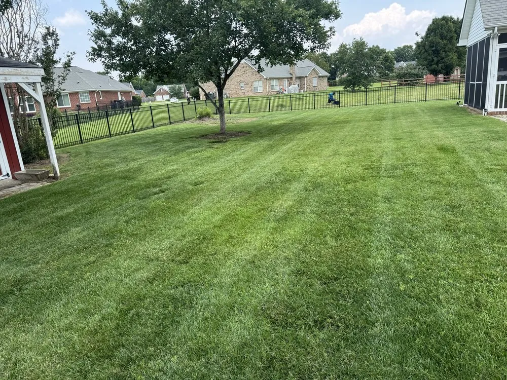 Custom lawn mowing service in Concord, NC - MowMonsters Lawn & Landscaping