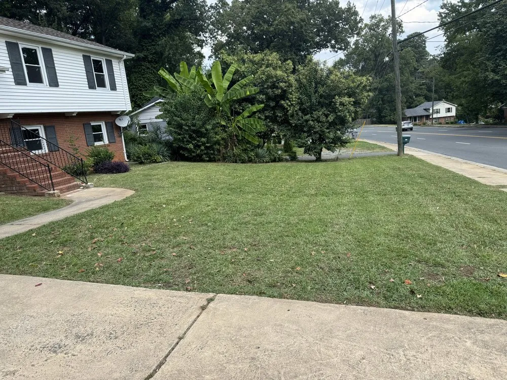 Professional yard cleanup service for beautiful yards across Concord, NC - MowMonsters Lawn & Landscaping