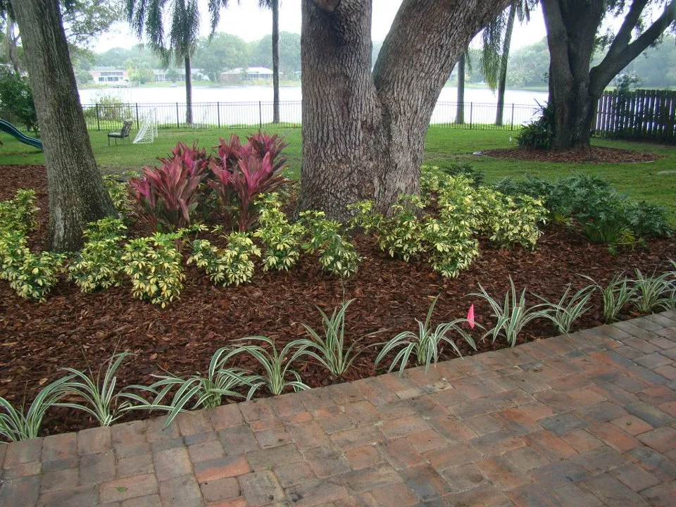 Local landscaping services in Land O Lakes, FL by Mow'n By Bowen