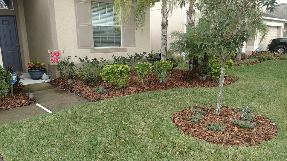 Expert yard maintenance for residential properties across Land O Lakes, FL - Mow'n By Bowen