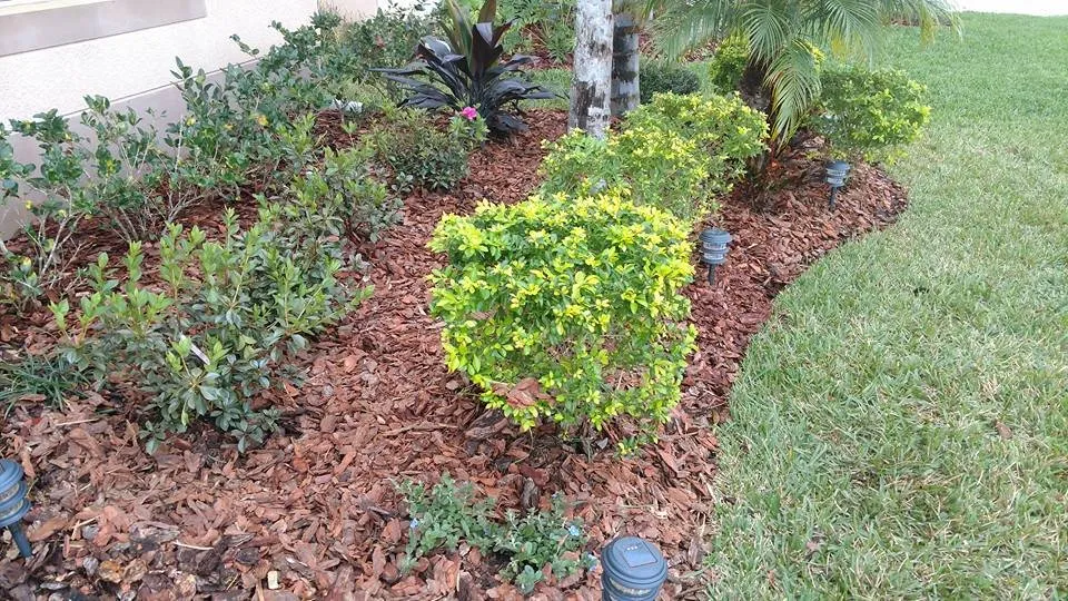 Expert landscape design near you in Land O Lakes, FL by Mow'n By Bowen