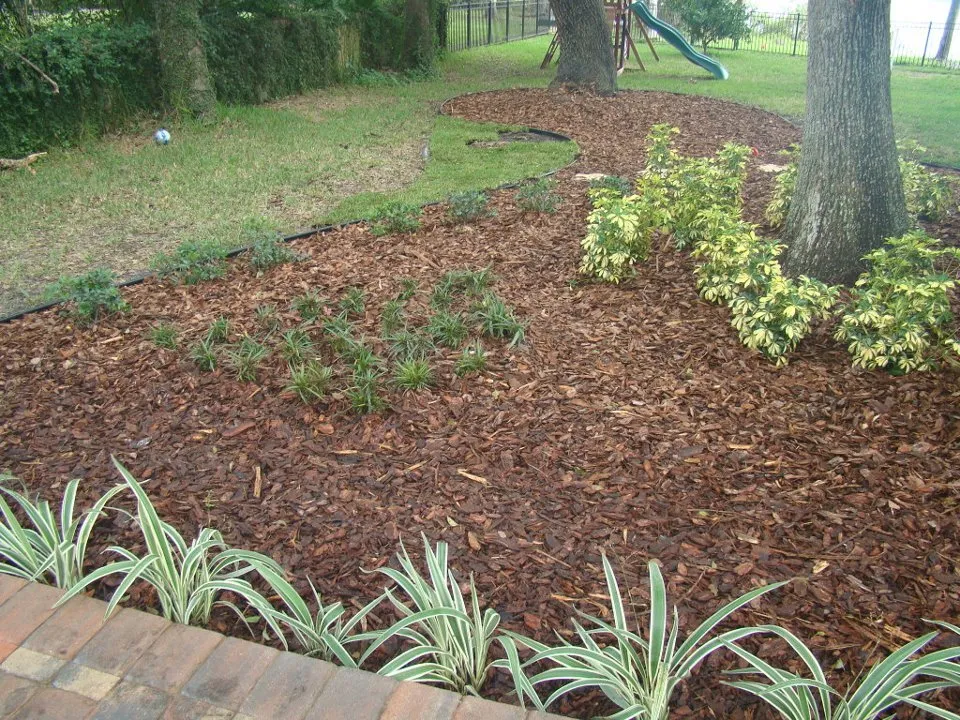 Local landscape installation experts serving Land O Lakes, FL - Mow'n By Bowen