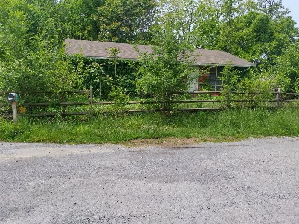 Reliable landscaping services in Martinsburg, WV - Mowngo