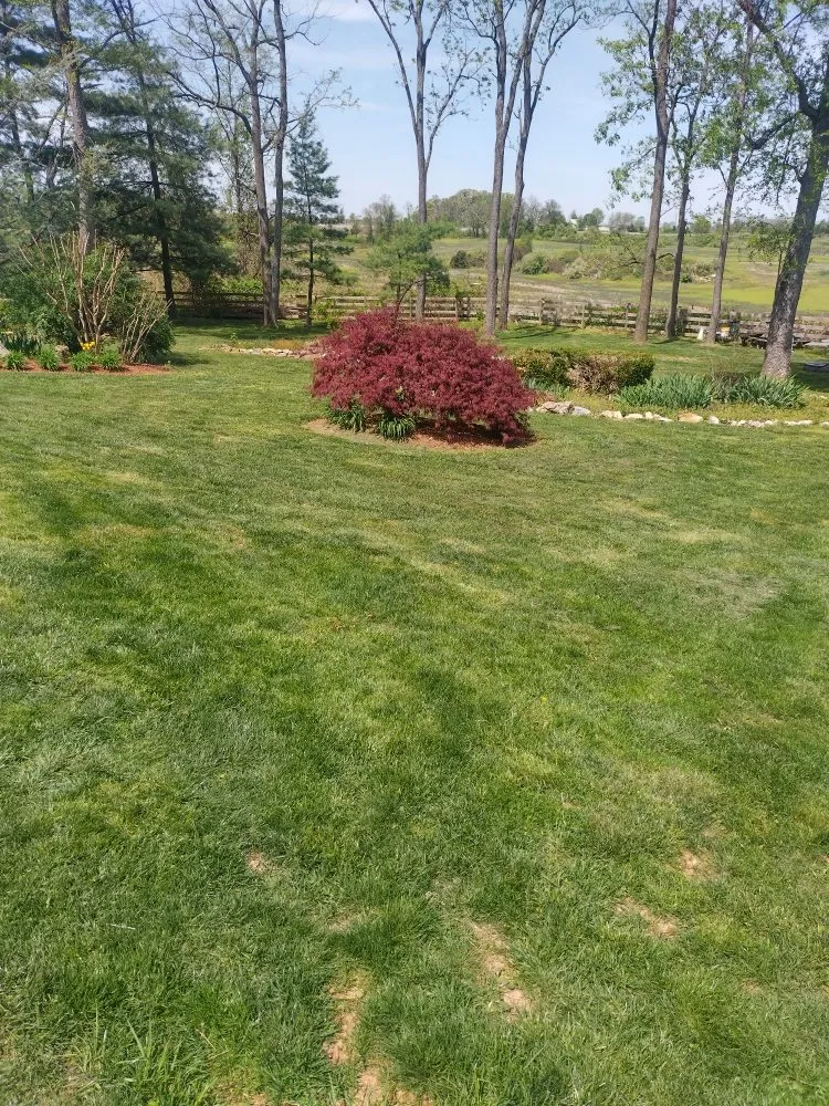 Custom yard maintenance for beautiful yards across Martinsburg, WV - Mowngo