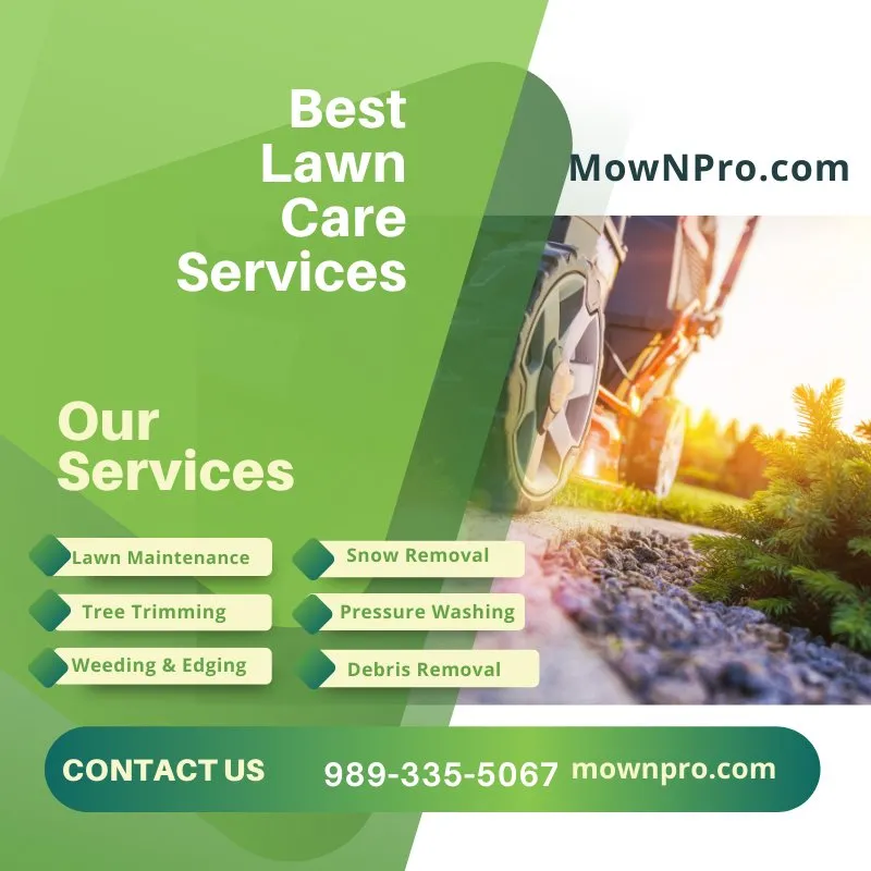 Top-rated landscape installation in Harrisville, MI - MowNPro
