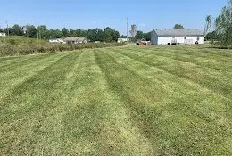 Local yard cleanup service in Vine Grove, KY by MowPro Lawn & Property Maintenance