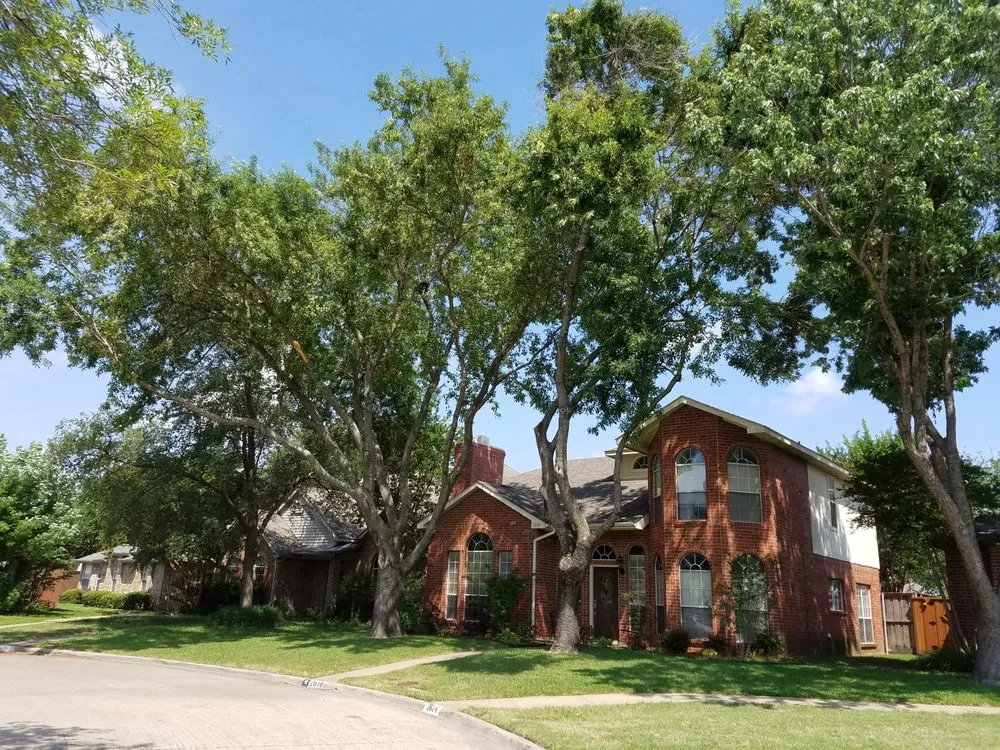 Affordable yard cleanup service experts serving Dallas, TX - MowPros