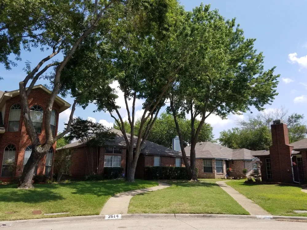 Affordable garden landscaping in Dallas, TX by MowPros