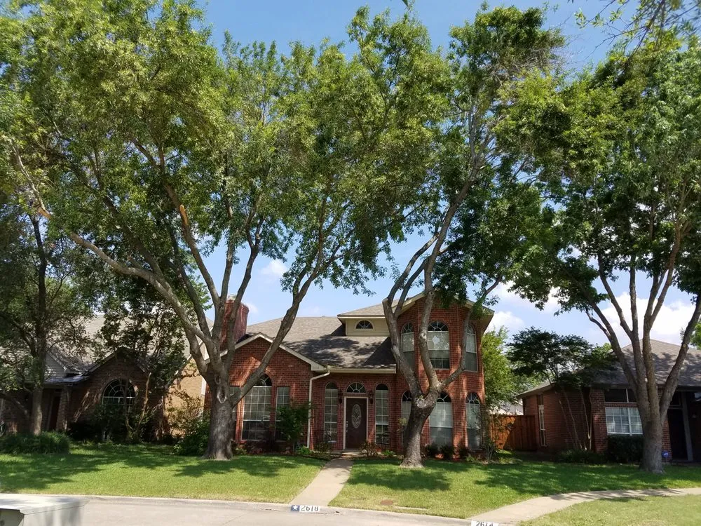 Top-rated lawn care service for residential properties in Dallas, TX by MowPros