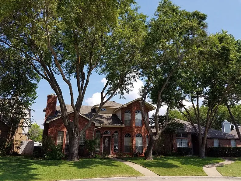 Affordable outdoor landscaping experts serving Dallas, TX - MowPros