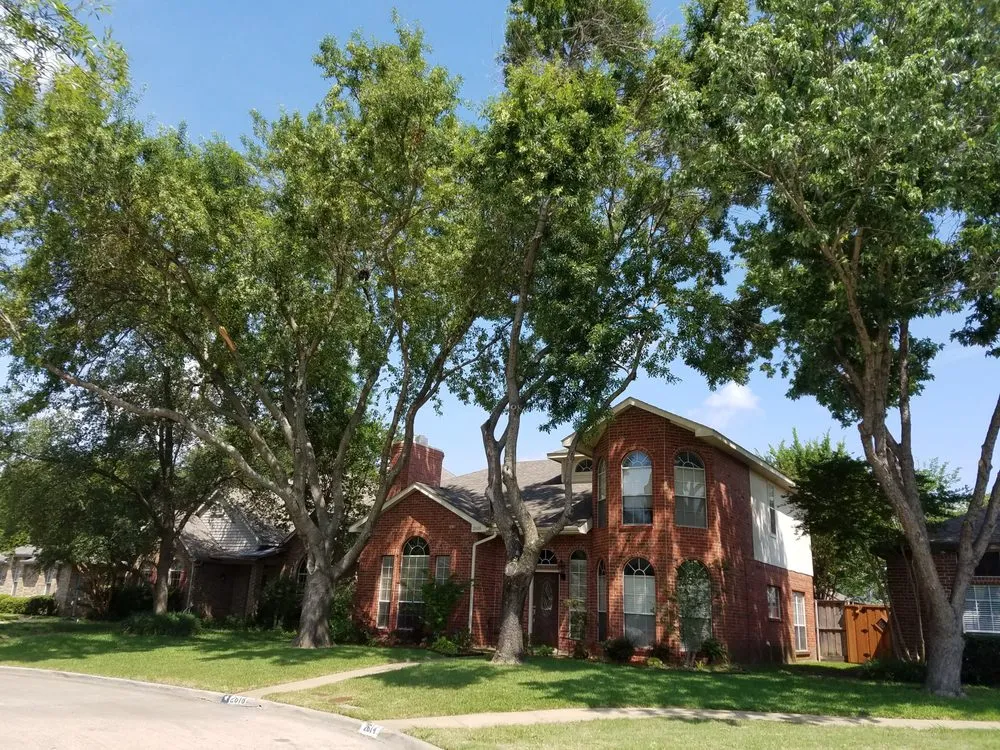 Affordable lawn mowing service near you across Dallas, TX - MowPros