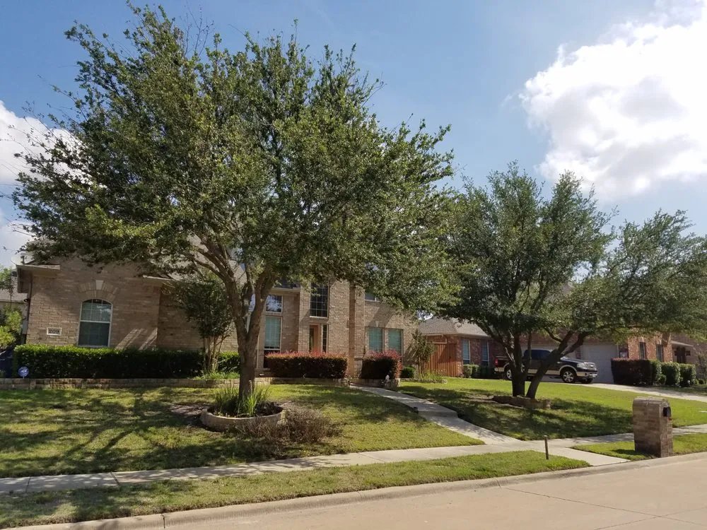 Affordable yard cleanup service in Dallas, TX by MowPros