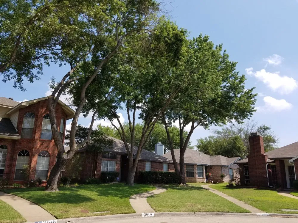 Trusted landscape installation in Dallas, TX - MowPros