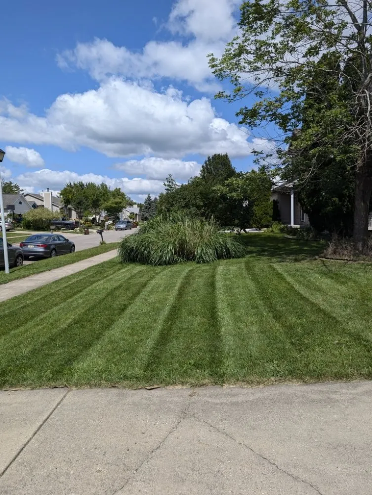 Trusted landscaping services in Lansing, MI by MowPros Maintenance