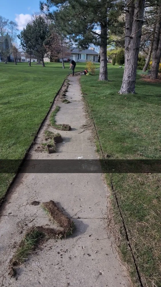 Local yard cleanup service for residential properties across Lansing, MI - MowPros Maintenance