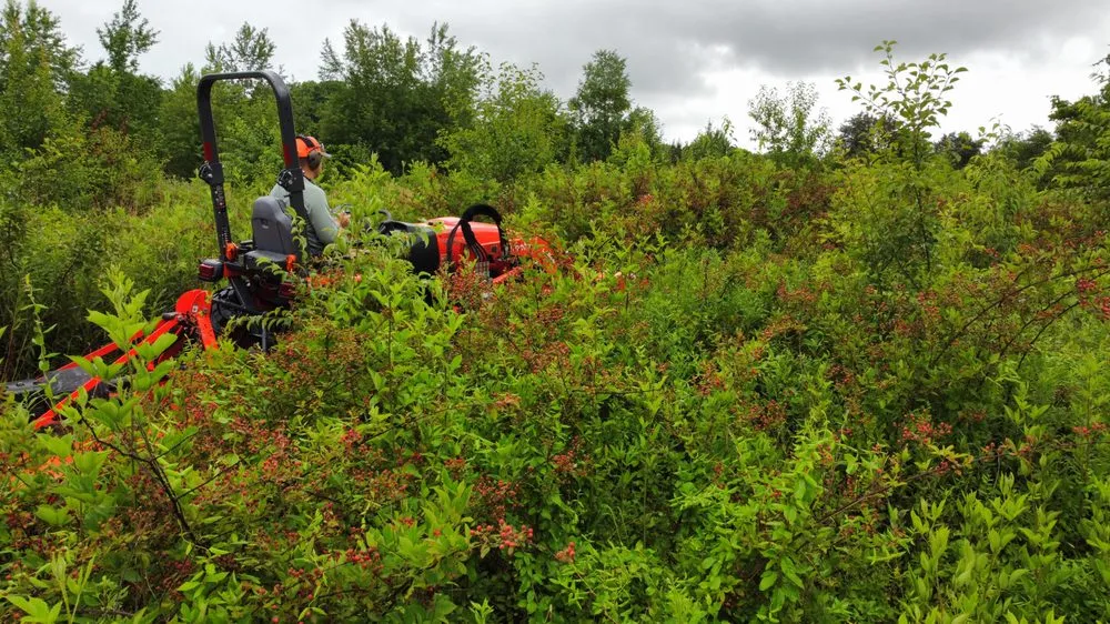 Local landscaping services for year-round maintenance in Greenback, TN by MOWR