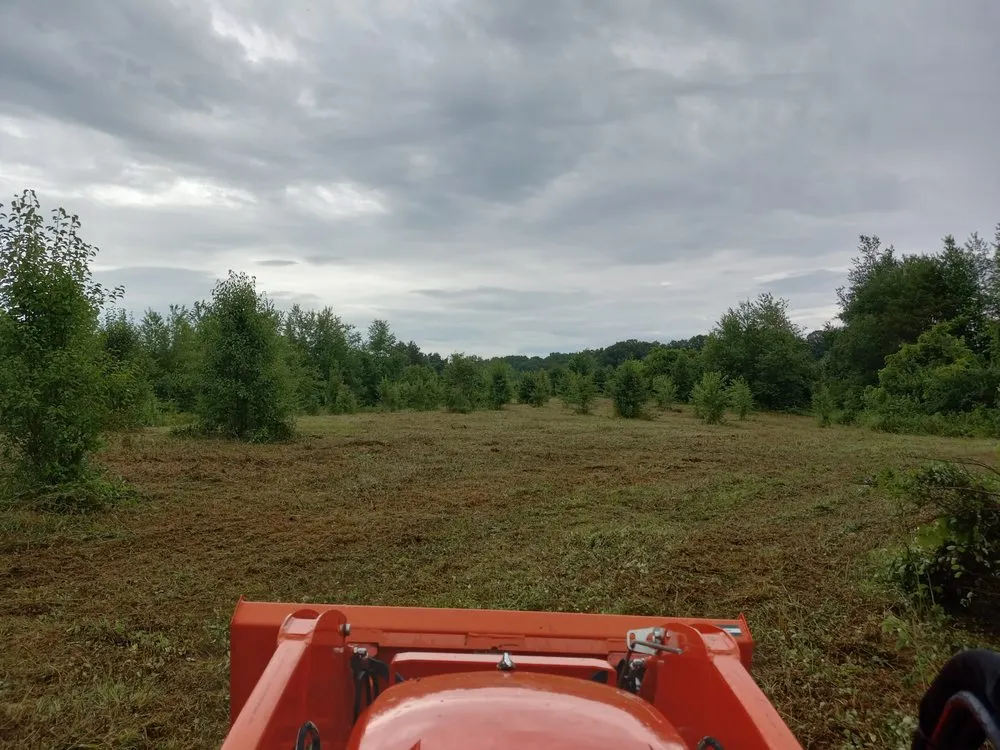 Local outdoor landscaping for beautiful yards across Greenback, TN - MOWR
