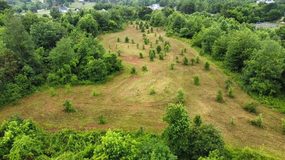 Affordable outdoor landscaping for beautiful yards in Greenback, TN by MOWR