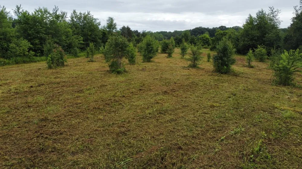 Reliable landscape design in Greenback, TN by MOWR