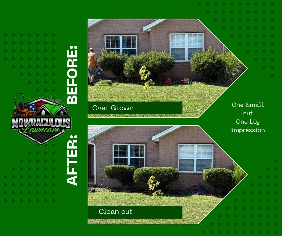 Top-rated yard cleanup service for beautiful yards in Republic, MO by Mowraculous