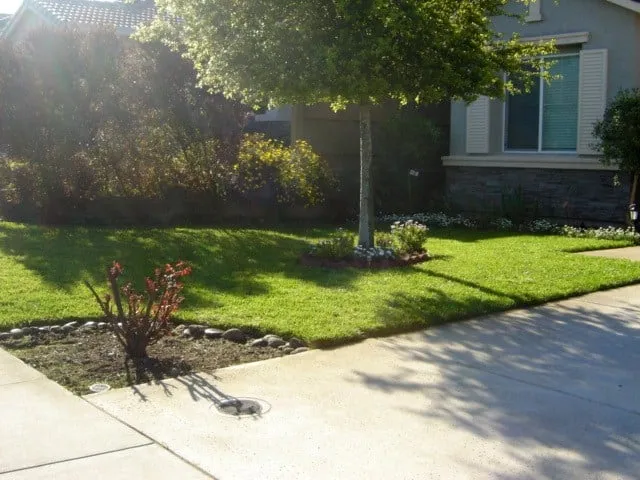 Affordable landscape design for residential properties in Carmichael, CA by Mowry's Lawn Service