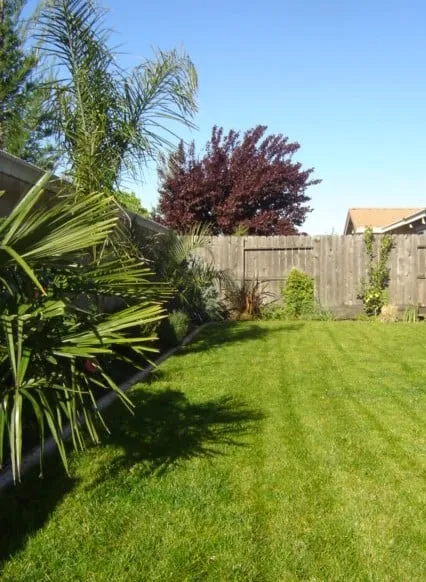 Expert yard maintenance in Carmichael, CA - Mowry's Lawn Service