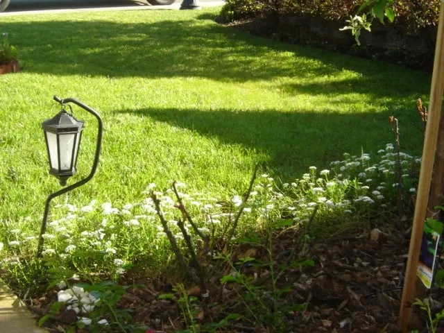 Top-rated landscape design for outdoor upgrades across Carmichael, CA - Mowry's Lawn Service