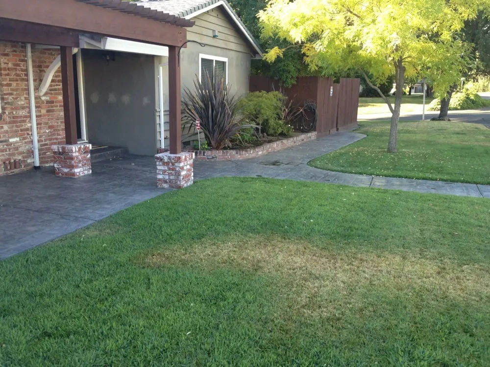 Top-rated residential landscaping near you across Carmichael, CA - Mowry's Lawn Service