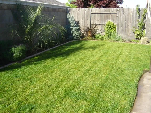 Top-rated lawn mowing service for year-round maintenance across Carmichael, CA - Mowry's Lawn Service