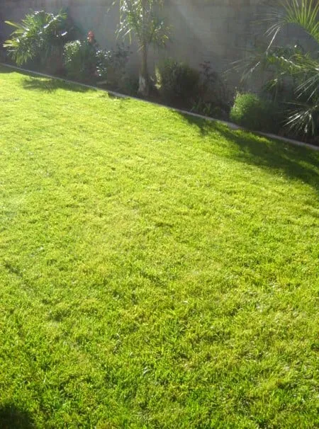Expert lawn mowing service in Carmichael, CA by Mowry's Lawn Service
