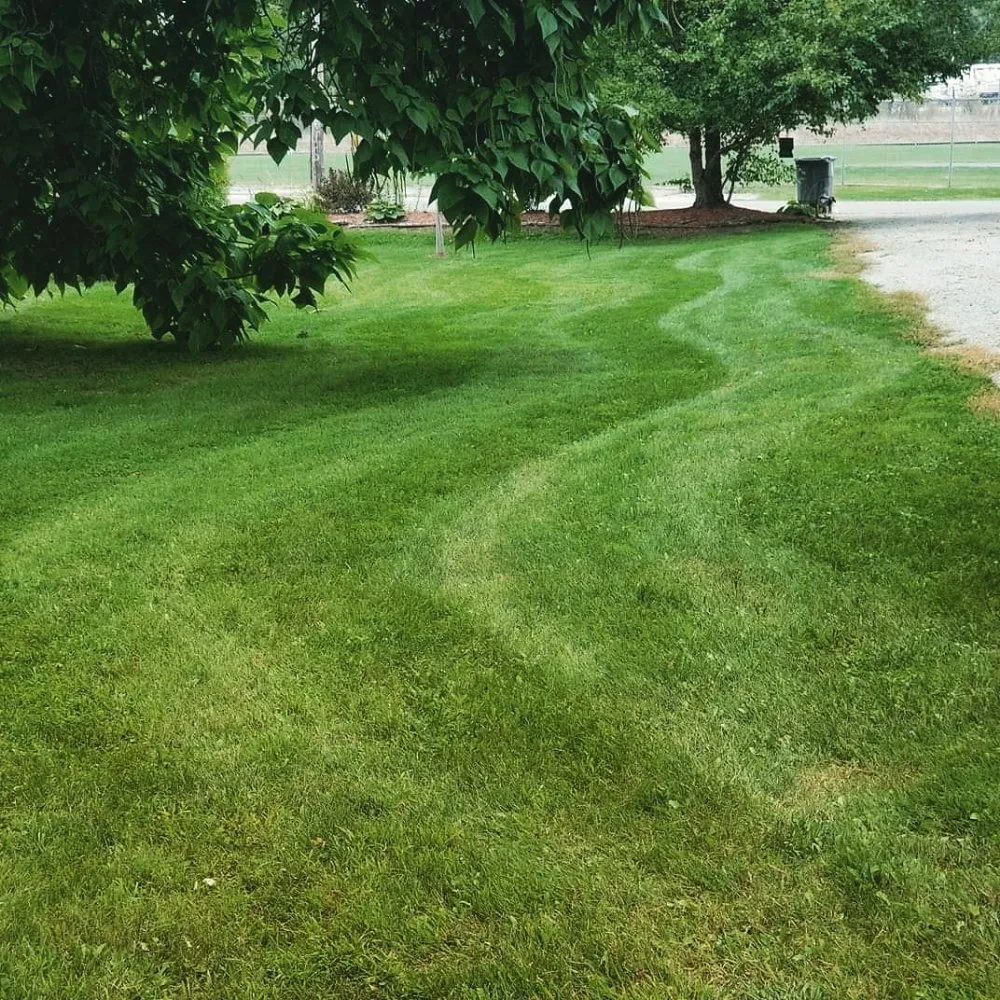Custom landscaping services in Fort Wayne, IN by Mows before Hose lawn care