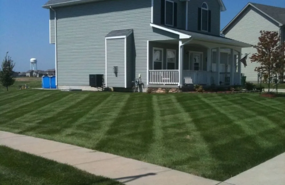 Affordable yard cleanup service experts serving Fort Wayne, IN - Mows before Hose lawn care