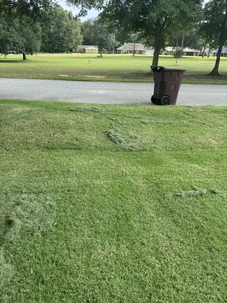 Expert yard maintenance for year-round maintenance in Bay St Louis, MS by Mow's Lawn Care and Exterior Services