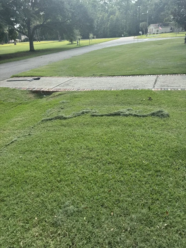 Expert landscaping services experts serving Bay St Louis, MS - Mow's Lawn Care and Exterior Services
