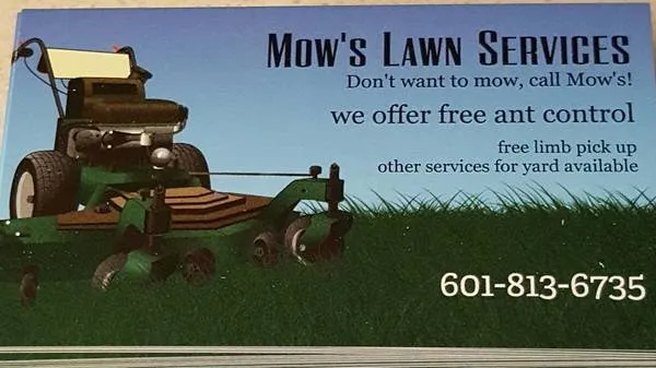 Affordable landscaping services experts serving Bay St Louis, MS - Mow's Lawn Care and Exterior Services