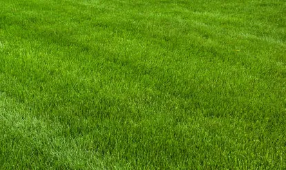 Local garden landscaping in Bradenton, FL by Mowses Lawn Care