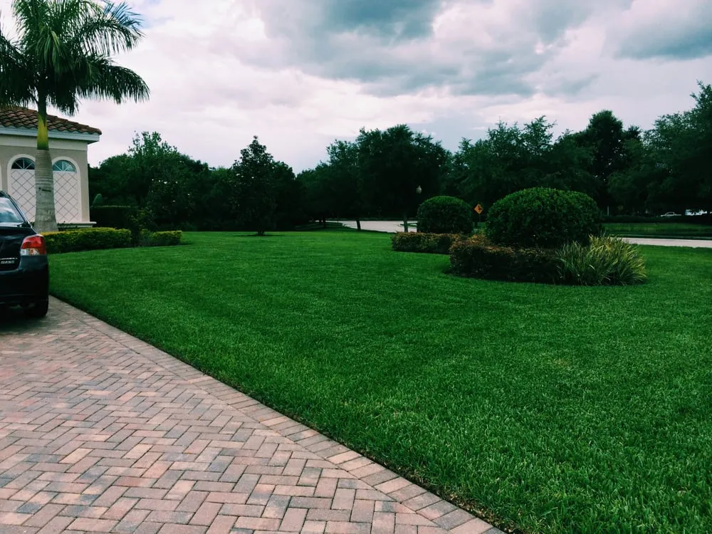 Top-rated yard cleanup service for residential properties across Bradenton, FL - Mowses Lawn Care