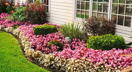 Affordable residential landscaping in Bradenton, FL - Mowses Lawn Care
