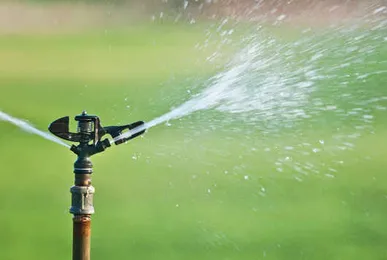 Custom landscape installation for year-round maintenance across Bradenton, FL - Mowses Lawn Care