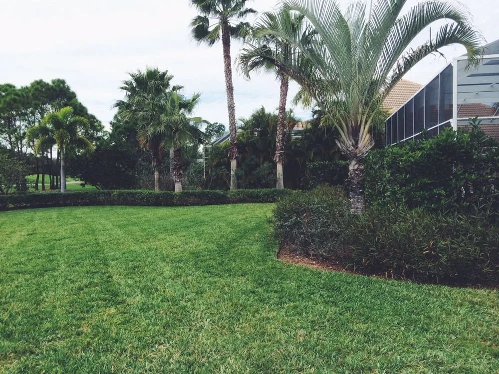 Trusted landscaping services experts serving Bradenton, FL - Mowses Lawn Care
