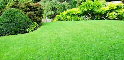 Local residential landscaping experts serving Bradenton, FL - Mowses Lawn Care