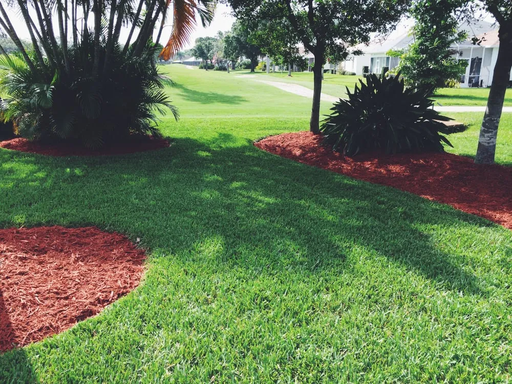 Professional lawn care service in Bradenton, FL - Mowses Lawn Care