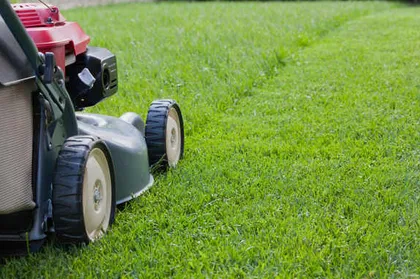 Professional landscape installation in Bradenton, FL by Mowses Lawn Care